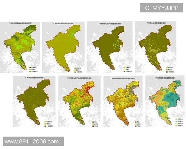 武汉排球队在奥运会上的技术表现分析与点评